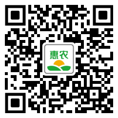 [川字托盘川字托盘 川字四向进叉塑料托盘价格145张